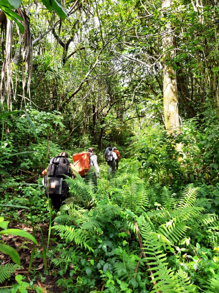 Hiking Maui