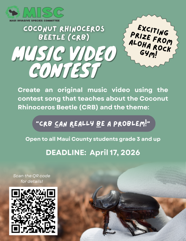 MISC CRB Song contest flyer