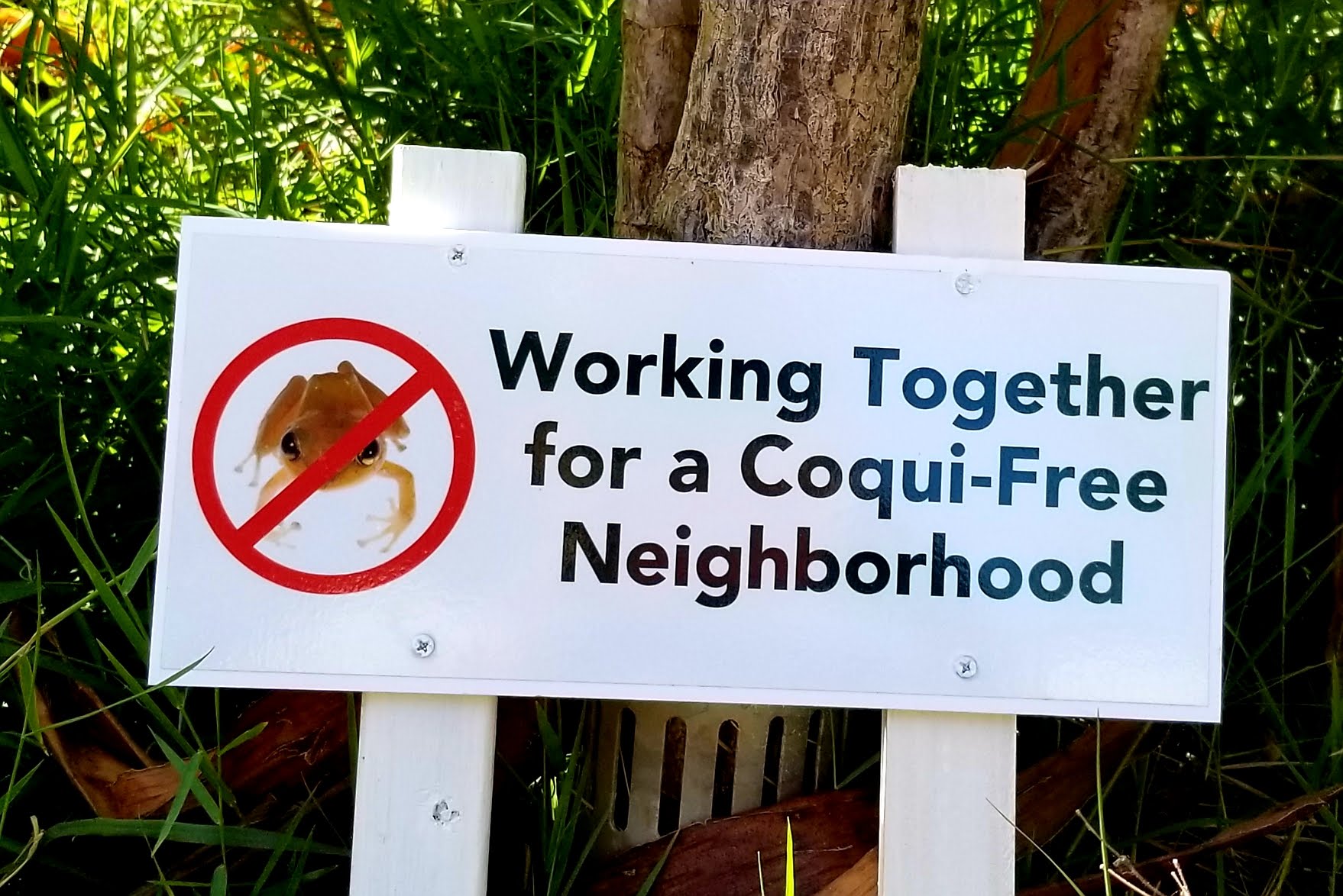 Coqui Free Neighborhood Sign