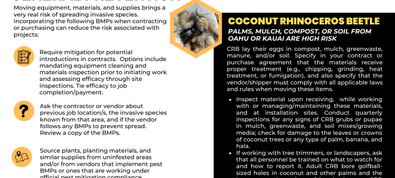 Detection of Coconut Rhinoceros Beetle on Maui Highlights Importance of Community Involvement in Pest Prevention