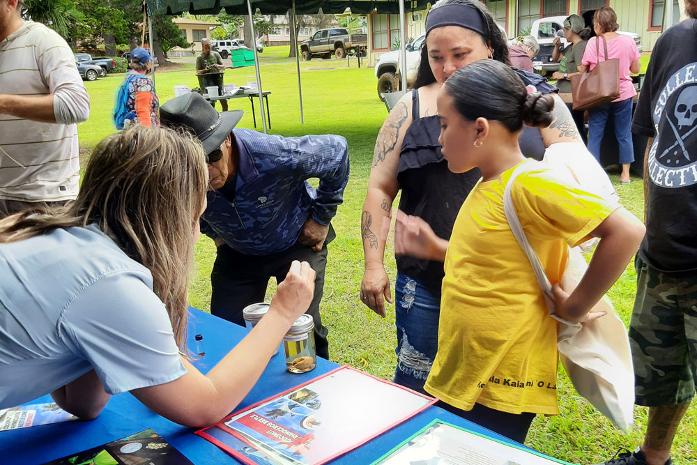 Kupulau Festival Lanai