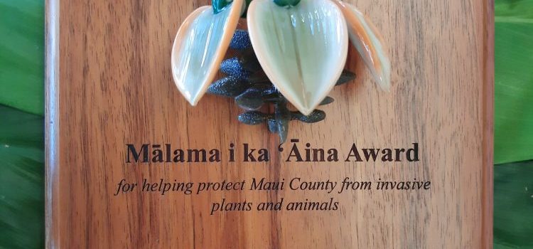 Kevin Gavagan Receives 2022 Mālama i ka ʻĀina Award