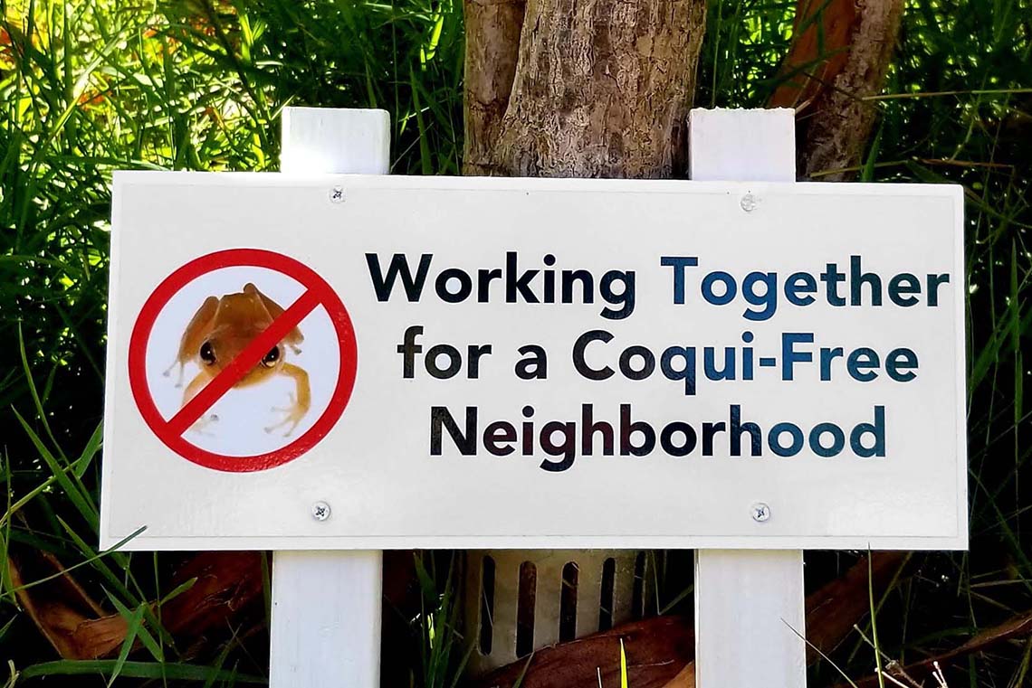 Coqui free neighborhood