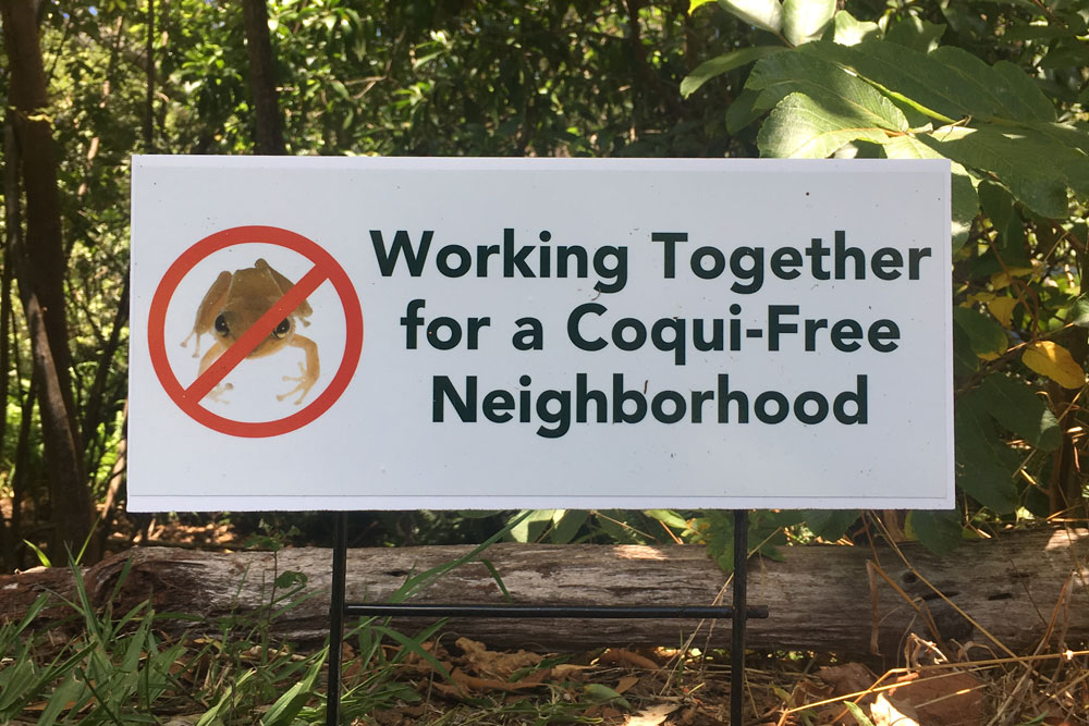 coqui-free-sign