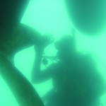 A diver inspects a propeller for biofouling. Photo courtesy of Hawaii DLNR-DAR