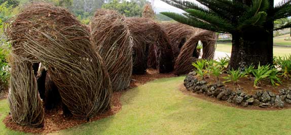 The best an invasive species can look! This scupture on display at the Hui No'eau Visual Arts Center was made out of strawberry guava, eucalyptus, and white ash. Photo by Hui No'eau.